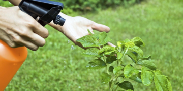 Поняття про фунгіциди та їх основні переваги