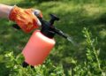 Інсектициди: для чого застосовуються та як їх правильно використовувати