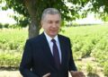 What to expect from the presidential elections in Uzbekistan?