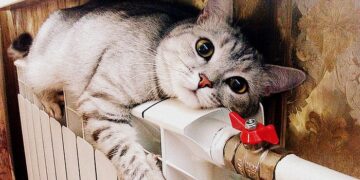 Какими методами обогреть помещение: основные способы и их особенности