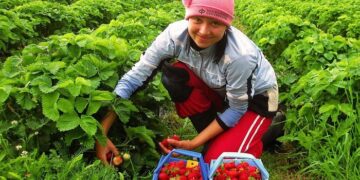 Работа в Польше легально: достоинства и как устроиться