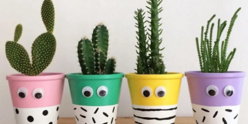 Як підбирати горщики для квітів для використання на підвіконнях