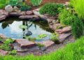 Как грамотно оформить декоративный пруд