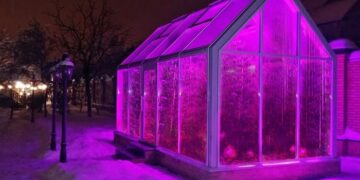 Phyto tape: we grow plants with understanding