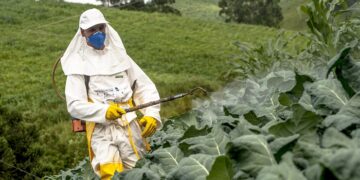 Інсектициди для рослин: переваги та призначення