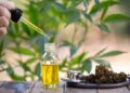 Назначение и применение масла CBD: как получить максимальный эффект