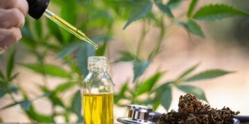 Назначение и применение масла CBD: как получить максимальный эффект