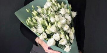 Цветок эустома: ключевые достоинства и правила оформления букета